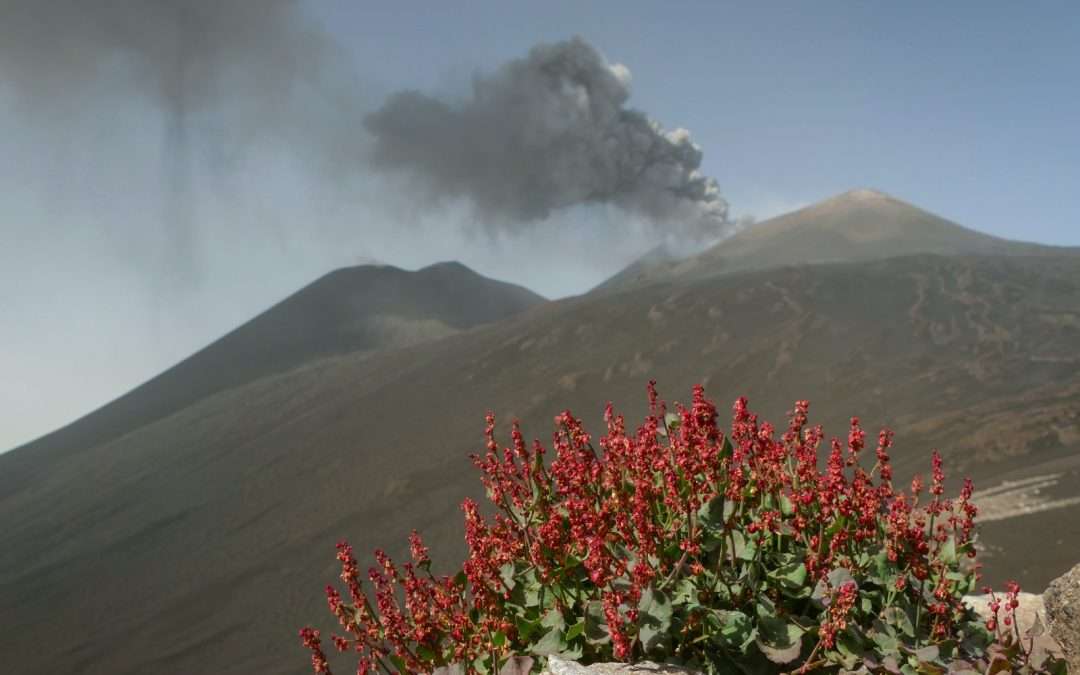 Etna Tour with 4×4 vehicle